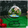 Glass Jar Terrarium With Wooden Lid